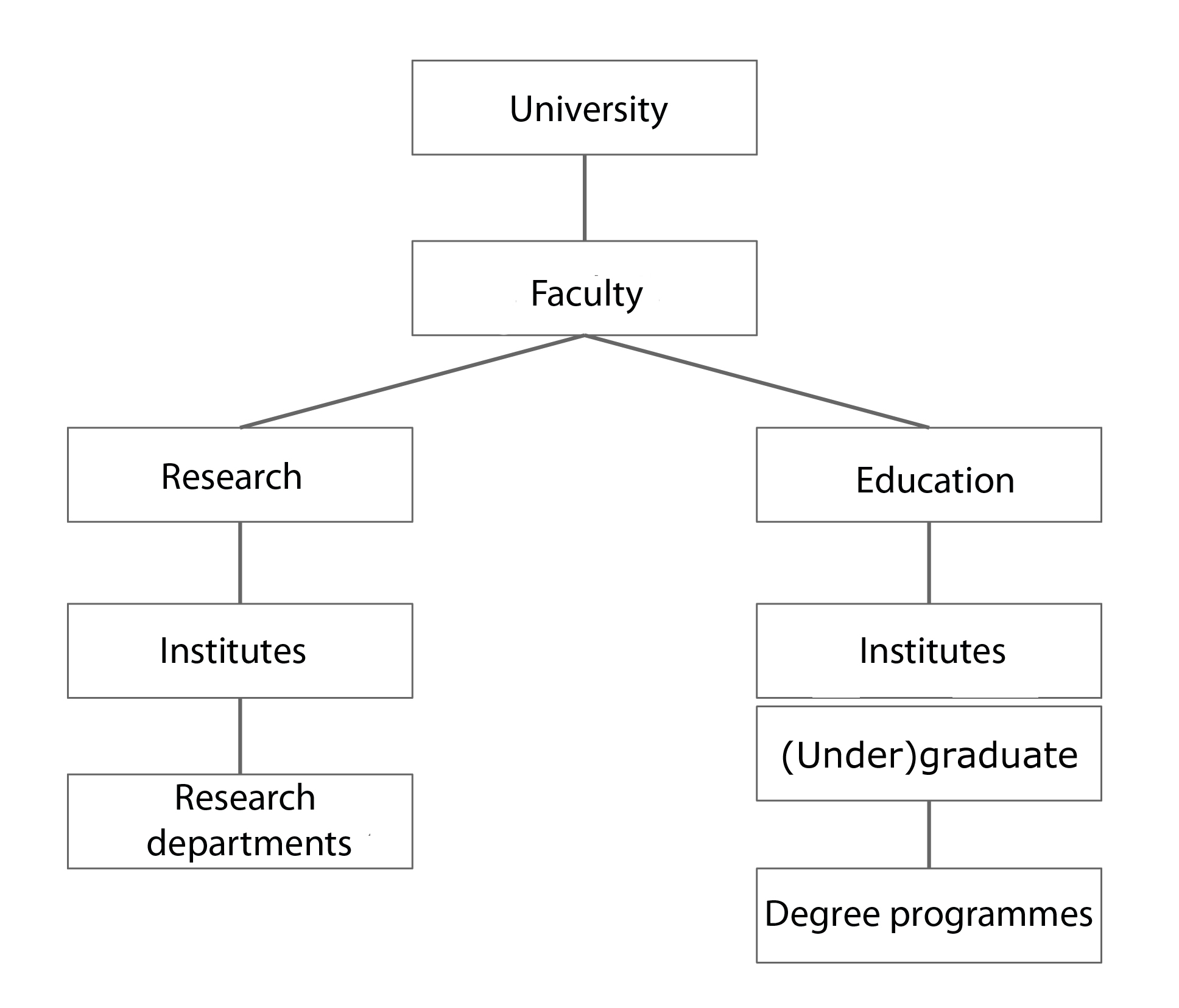 Structure of the Faculty